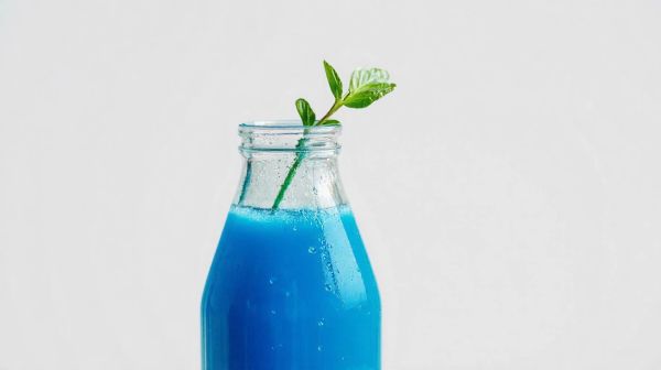 Top des boissons protéinées pour booster votre apport facilement